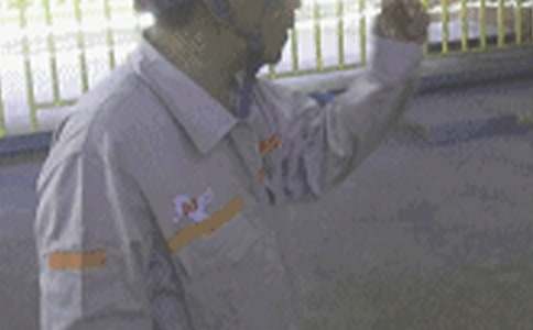 ��ȫԱ��ȫ����������