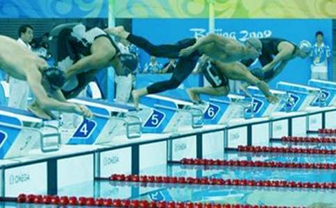 动物奥运会小学作文