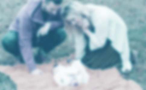 �ְ������������˵��������