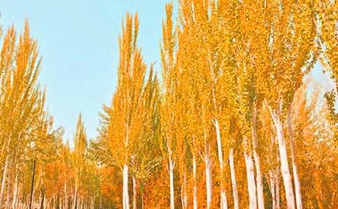 �����š��������޽̰�15ƪ