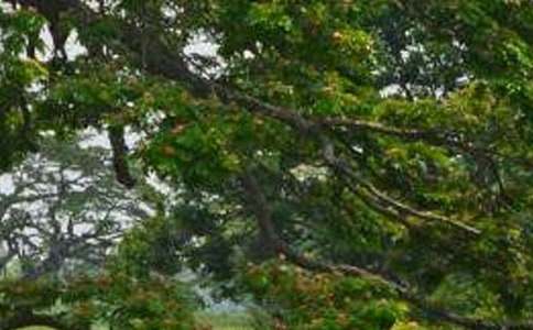 �������ѧ��Ƽ���15ƪ