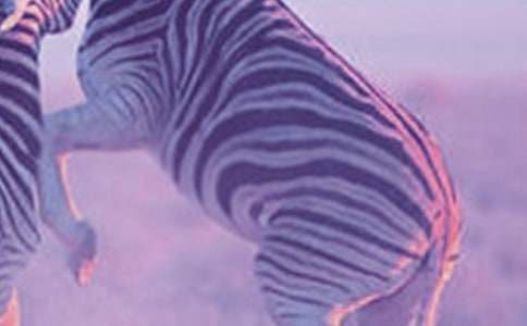 �������ð����߳�����(15ƪ)