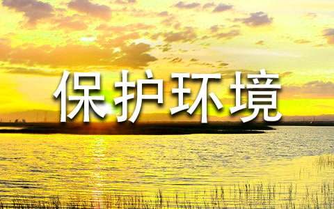 ���������Ļ�ܽ�(���15ƪ)