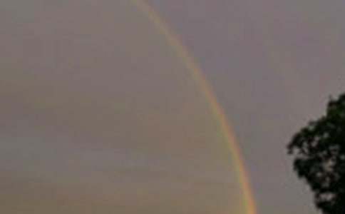 小班教案:彩虹桥