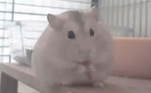 ����۲��ռ�15ƪ