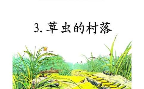 草虫的村落教学反思 (优选)