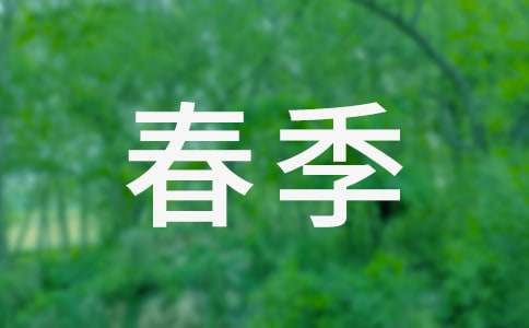 �����š����������ƻ���ƪ