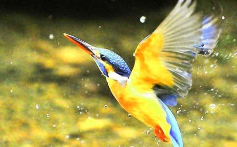 �����񡷽�ѧ��˼15ƪ