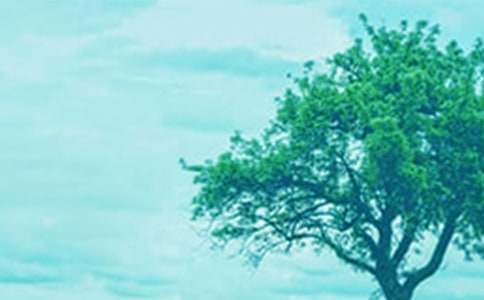 С��ʹ����ĶԻ���ѧ�������