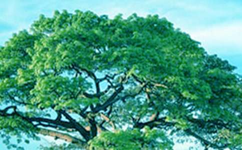 ��С�ݺʹ����������(����15ƪ)