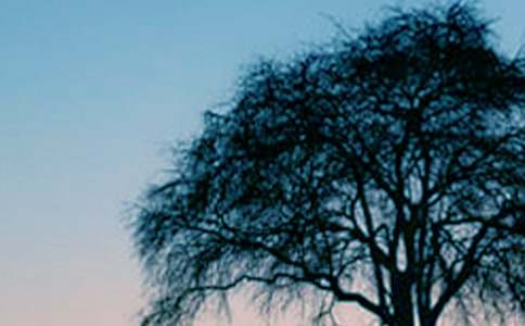 С��������ĶԻ���ѧ��˼