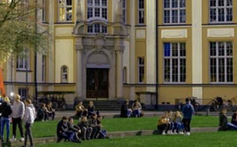 ��ѧ���������ʵ����ܽ�11ƪ