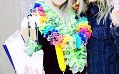 ��ѧ���������Ĺ����ƻ�