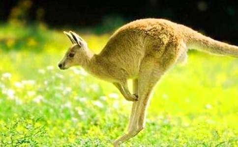 �������Ĵ��󡷽̰�