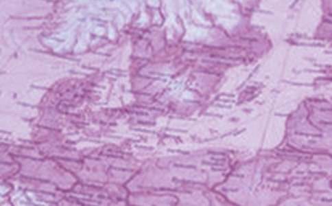 ���꼶������ѧ�����ܽ���ܰ�ƪ