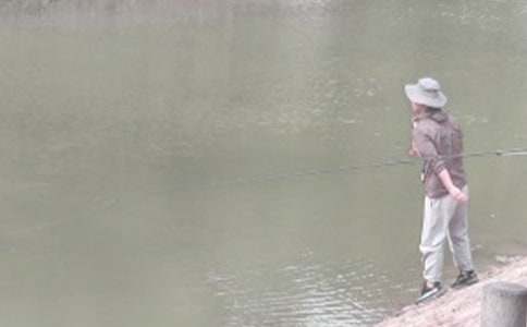 Сè����Сѧ����10ƪ