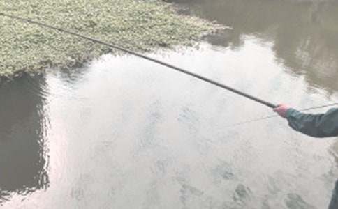 ���е��������˵˵