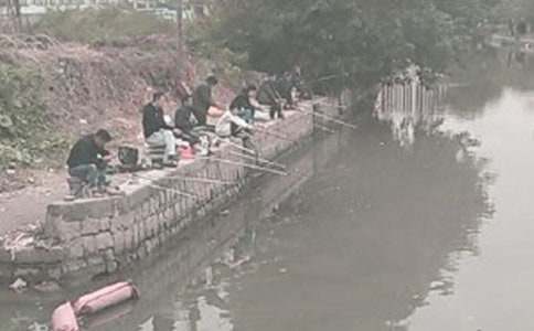 ������ռ�(���15ƪ)