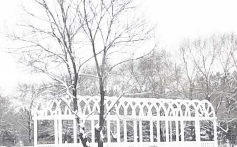 ��������������ܽ���(16ƪ)