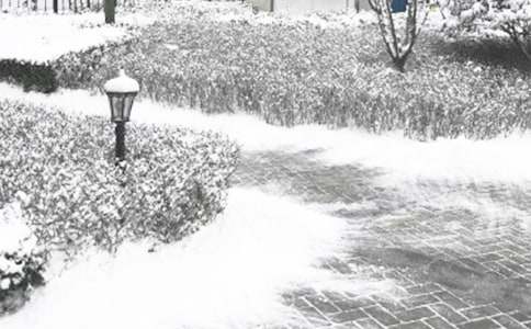 �Զ���Ϊ����Ĺ����½�����