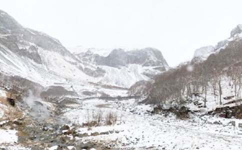 ���������ܽ�