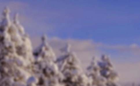 关于初中冬天的作文集合5篇