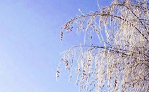 冬天个性说说语录90句精选