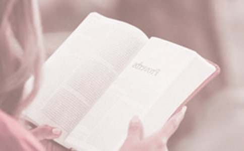 �����š������ռǺϼ���ƪ