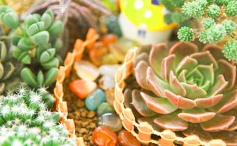 ����۲��ռǻ����ƪ