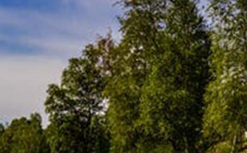 ���Ƽ������з羰���Ļ�����ƪ