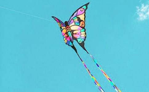 �ŷ��ݵ��ռ�