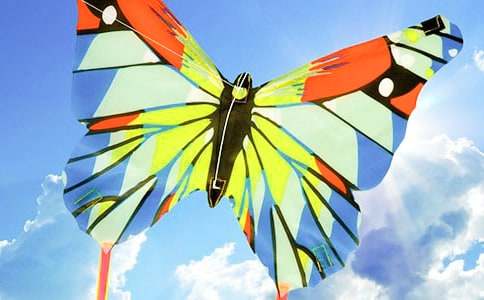 ʵ�õķŷ��ݵ��ռǷ�����ƪ