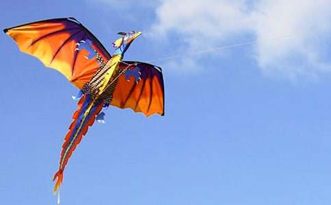 �ŷ����ռǡ�����7ƪ��