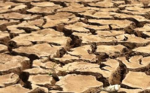 Ϊ�����ش�ɺ�����ļ�賫����