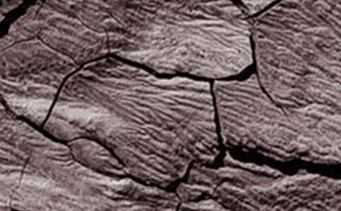 �����ɺ����Լ��ˮ�ĳ����鷶�ģ�ͨ��6ƪ��