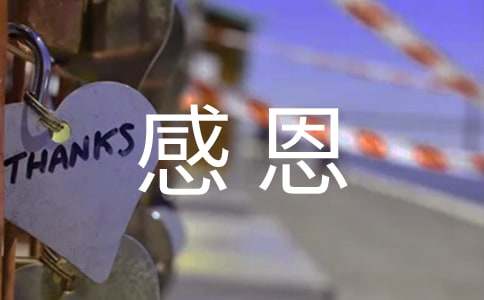 �༶�ж���ܽ�