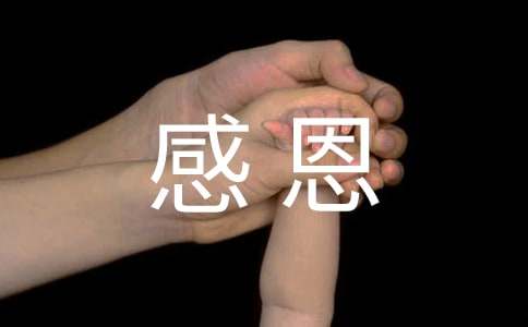 �ж����Ļ�ܽ�