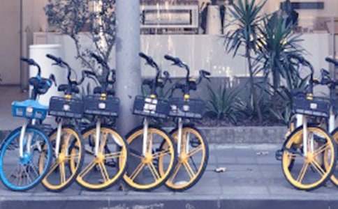 ͣ�Ź�������������