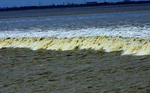 《观潮》教学反思(精选13篇)