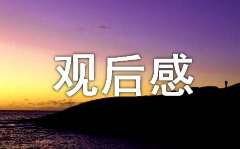 最新《长空之王》观后感范文精彩