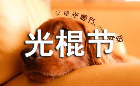 光棍节晚会活动总结