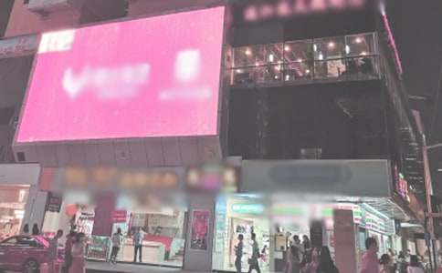 《时代广场的蟋蟀》优秀读后感