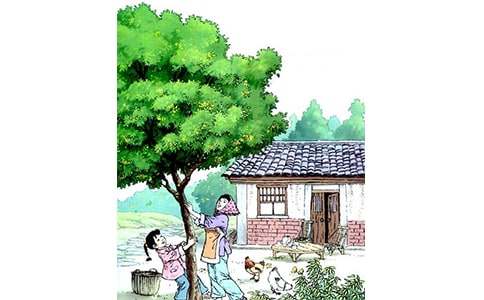 �����꡷����̰�