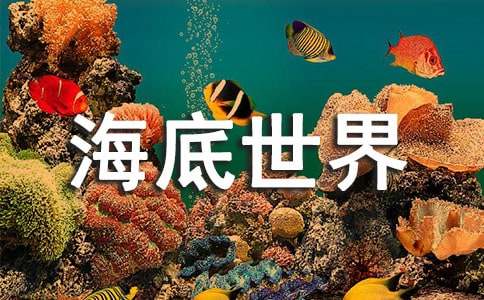 实用的海底世界教案四篇