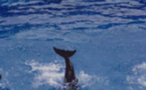 ������ɫ�ĺ��ൺ���и�