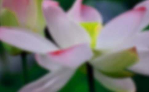 �ɻ��������ѧ��˼