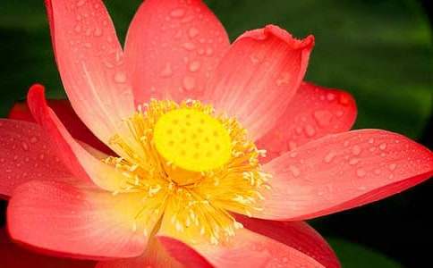 �ɻ�����ѧ��˼����