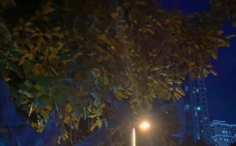 ��ҹ���˵�˵˵