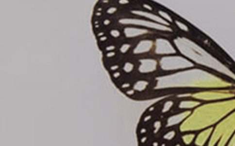 ����ֻ�������а����Խ̰�