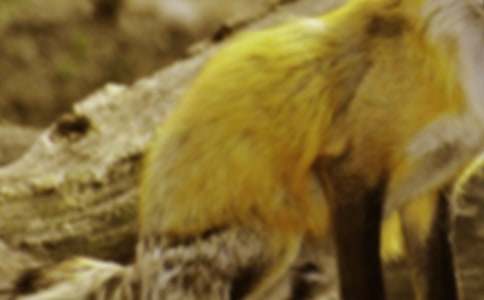 ���˲���ĺ���ְ֡�����У�ͨ��31ƪ��